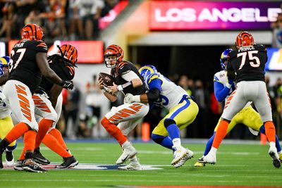 Joe Burrow Tweets Message for Bengals Fans After Super Bowl Loss