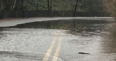 Man rescued from flood waters as heavy rain hits Wales