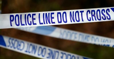 Man fighting for his life after hit and run crash in Lanarkshire town