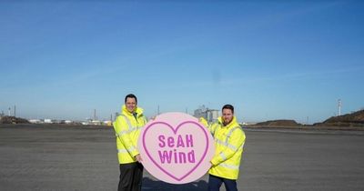 Wind farm plant brings 750 jobs to Teesside - but sparks row with Humber