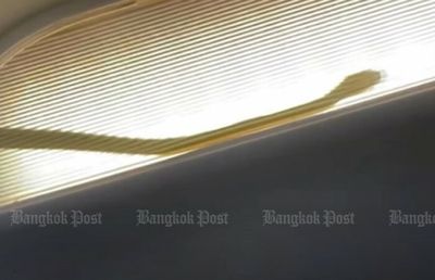 Snake seen on AirAsia plane