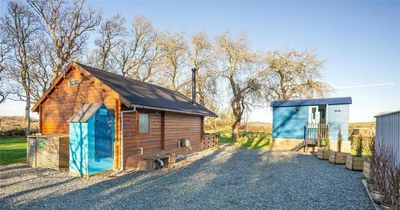 Award winning North Wales glamping site has gone up for sale