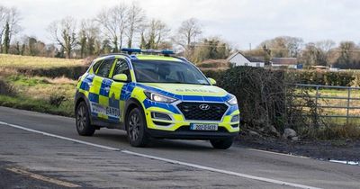Garda checkpoints: Driver arrested after one simple mistake lands them in hot water