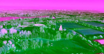 Broadband supplier Netomnia announces £21 million full fibre investment in Hamilton