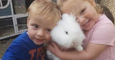 Three-year-old boy confirmed to have died after M4 crash that killed his sister