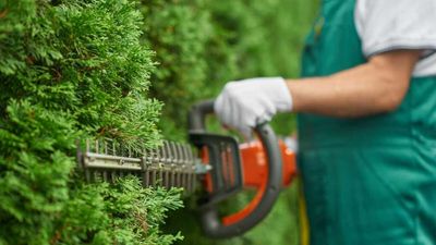 An Austin Zoning Technicality Made His Landscaping Business Illegal Overnight