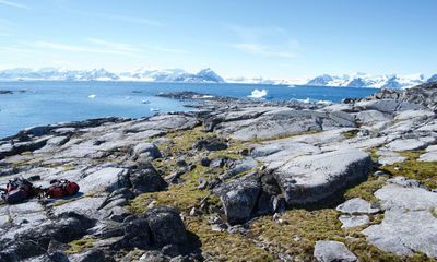 Flourishing plants show warming Antarctica undergoing ‘major change’