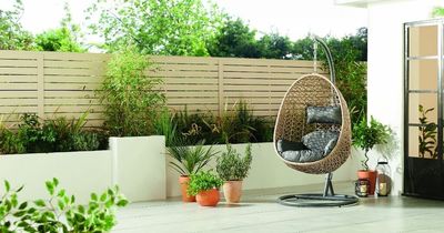 Aldi bringing back hanging egg chair after first drop sells out within minutes