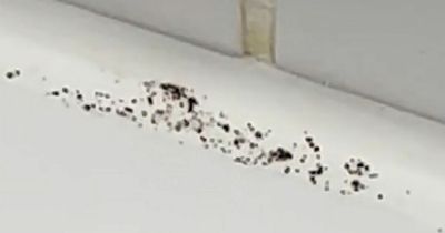 Savvy cleaner shares 'free' hack for getting rid of bathroom mould in minutes