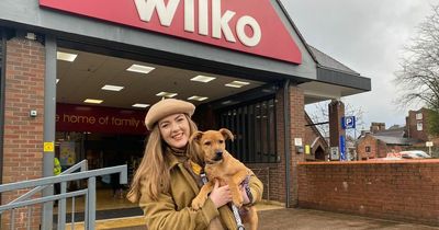 'I took a puppy to Wilko to pick out their own treats and toys as store becomes dog friendly'