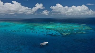 How a 'motley crew' of citizen scientists is helping to save the Great Barrier Reef