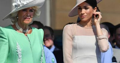 Camilla's cruel nickname for Meghan Markle after becoming 'suspicious' of her