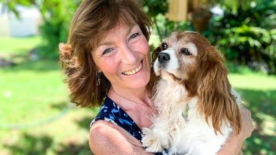 Could Australia follow Norway's lead and ban breeding of dogs on animal welfare grounds?