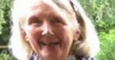 Gardai seek help in tracing missing Wicklow pensioner, 82