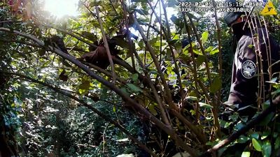 Atlanta Cops Rescue Man Trapped On Steep Slope And Tangled In Thorns