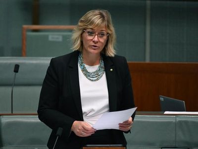 Steggall declares donation 'rookie error'