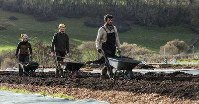 Friends buy farm after veg box success during lockdown