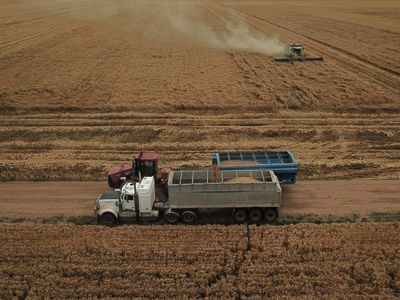 Wheat farmers take heed of Ukraine tension