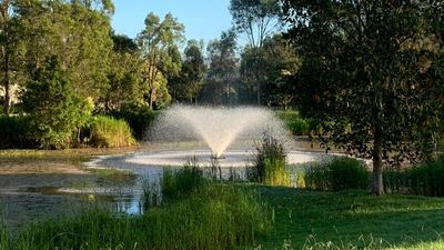 Plants thrive during La Niña, but not without challenges for coastal gardeners