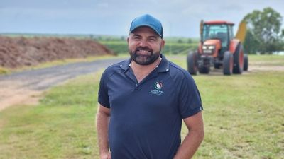 Bundaberg macadamia farm deemed carbon positive after neutralising its emissions