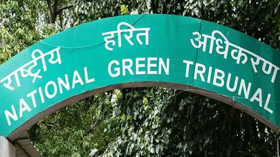 Andhra Pradesh: NGT asks govt to get green nod for 3 reservoirs in Chittoor