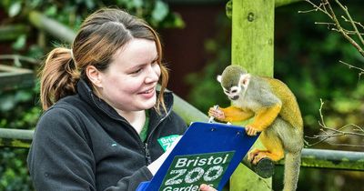 Bristol Zoo will close site in September after 186 years