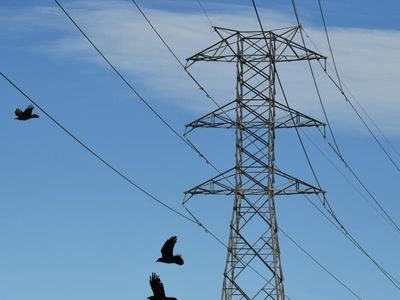 Work starts on new SA-NSW power line