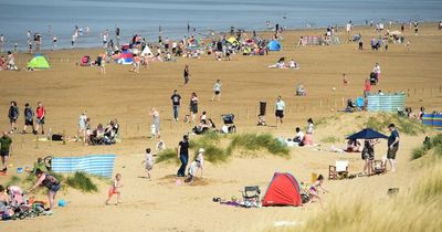 'Exciting' opportunity to become 'beach ranger' this summer