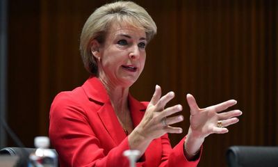Michaelia Cash confirms no action on national integrity commission before election