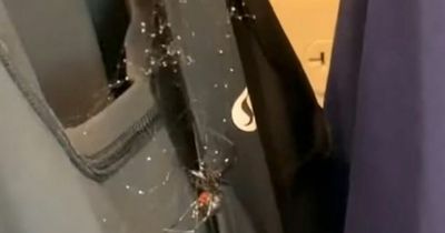 Horrified employee screams after finding black widow spider crawling over clothes
