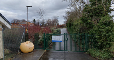 East Lothian yobs hurl missiles through window before breaking into school