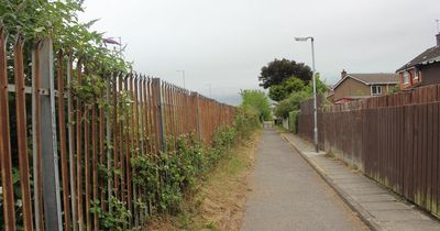 Public asked to decide on plans for cycle route from Sydenham to Holywood