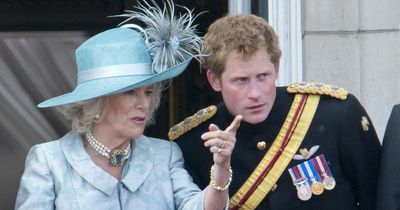 Prince Harry will be 'angry' with Camilla being Queen consort, says Princess Diana's pal