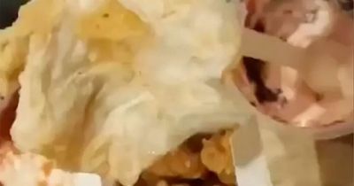 KFC customer furious after claiming she found deep-fried toilet paper in her meal