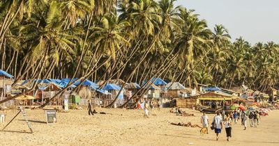 India changes test and quarantine rules for fully vaccinated UK travellers