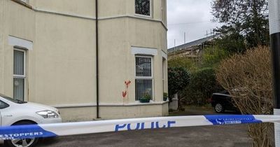 Students told to stay away from college after red splatter seen on wall of nearby house