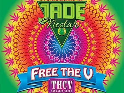 Jade Nectar Soon To Release THCV-Rich Cannabis Seeds Free To Public Via California Dispensaries