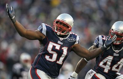 Jerod Mayo appeared in a hilarious Hellmans Mayo ad during Super Bowl