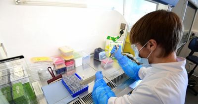 Today's Public Health Scotland Covid infection rates for every Scots council amid 5,805 new cases