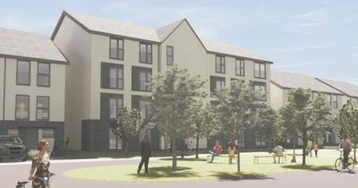 Redevelopment of Edinburgh special school site rejected by councillors