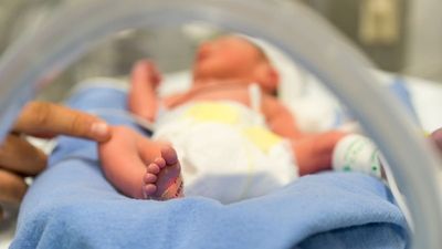 Kiwi scientist spearheads premature baby research project