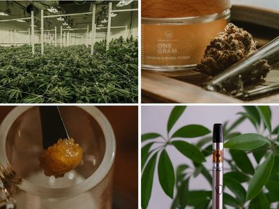 Organic Cannabis Delivery & Edibles Now Available in Ann Arbor, MI Via Winewood Organics