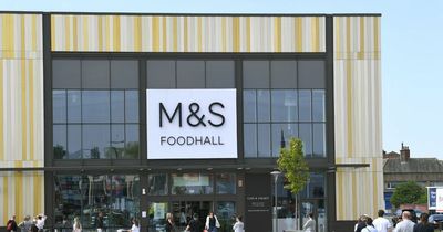 Marks and Spencer shoppers desperate to try 'heavenly' new £6 dessert