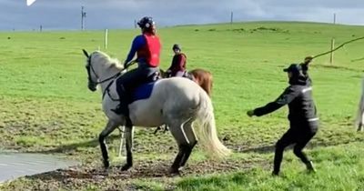 RSPCA probe Mark Todd horse whipping video which left eventing governing body "alarmed"