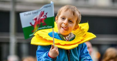 More than 10,000 people want St David's Day to be a bank holiday but UK Government has said no