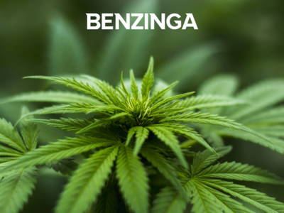 Tilray CEO Irwin Simon To Give Keynote At Benzinga Cannabis Capital Conference In April