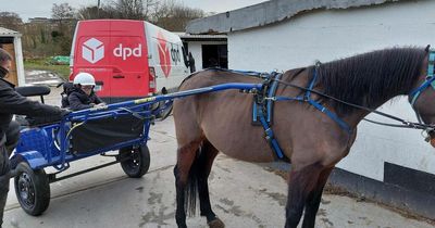 Finglas community rally together to get boy with Spina Bifida wheelchair accessible horse and cart