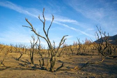 The drought plaguing the American West is the worst in 1,200 years