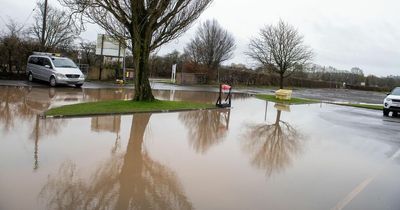 Flash flood at top Bristol rugby ground covers pitch with sewage water