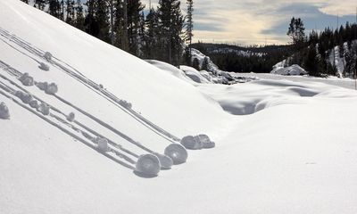 ‘Rare winter treats’ on display in Yellowstone National Park